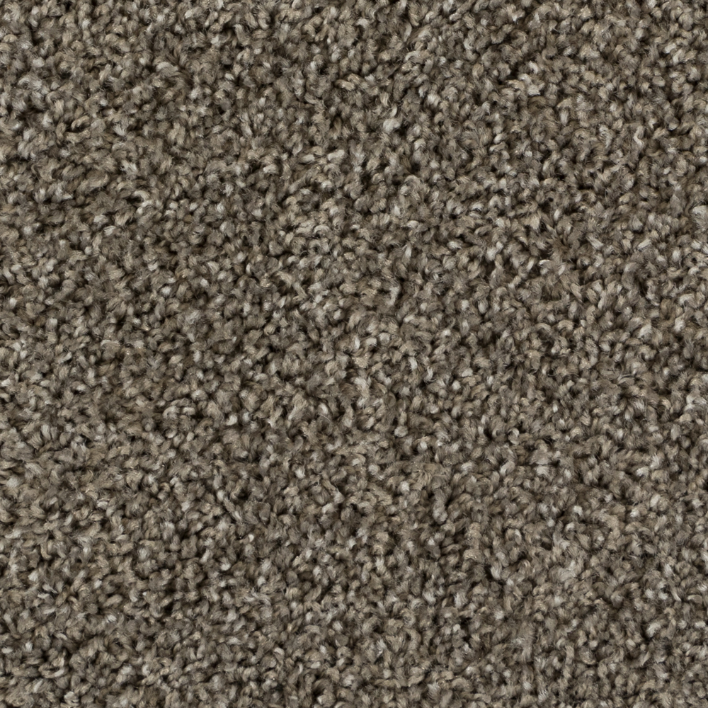 beaulieuusa builder,pro,residential,all Carpet High Five a4920