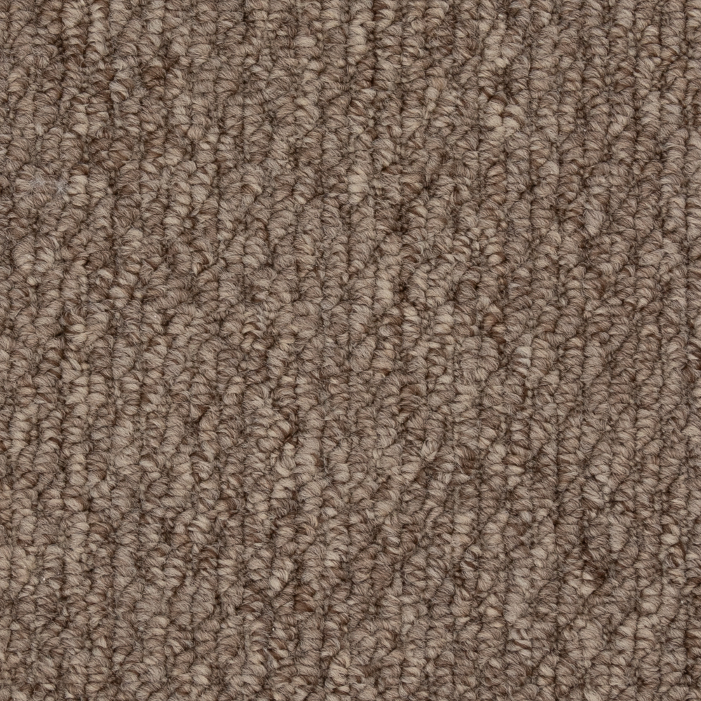 beaulieuusa builder,pro,residential,all Carpet Cupido II 6436