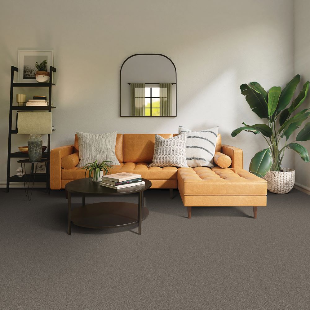 beaulieuusa builder,pro,residential,all Carpet Serene Ambiance j4756